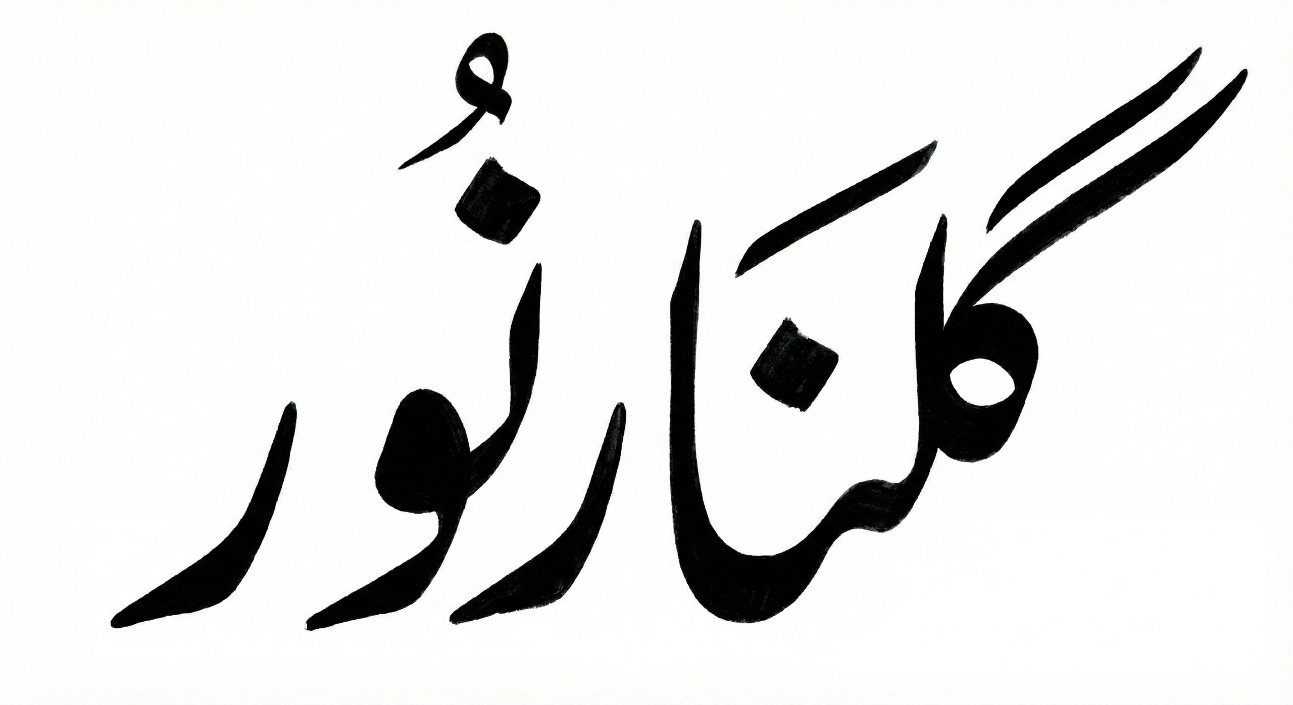 Gulnaar Noor Collection